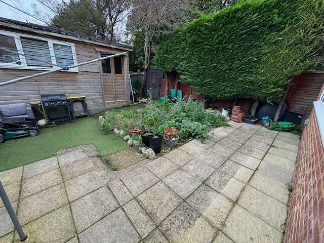 garden.jpg