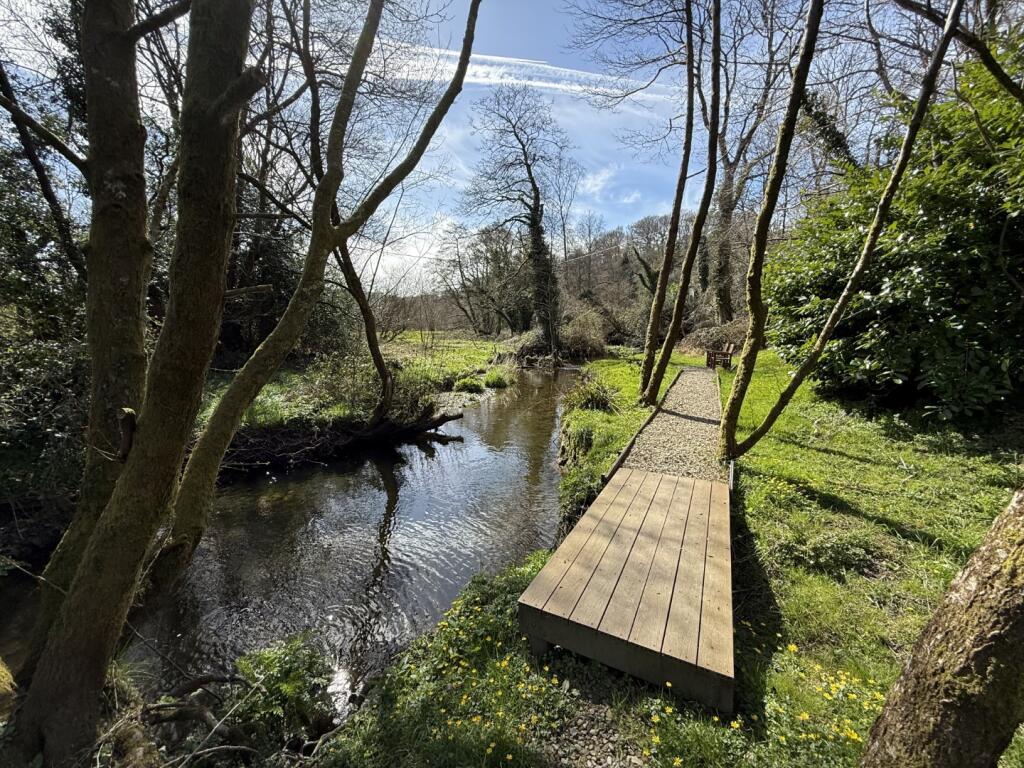 IMG 5408  Large  T202505021202.jpeg