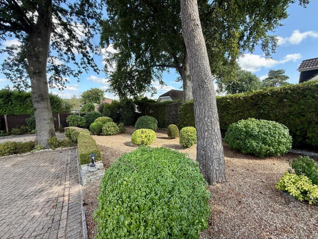 10 Garden.jpg