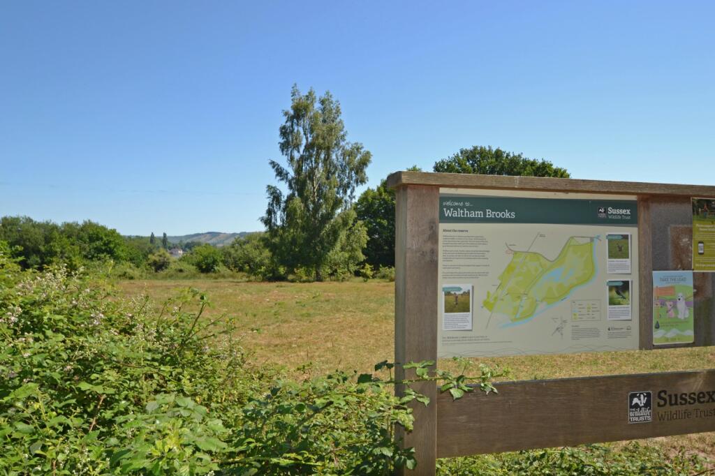 Waltham Brooks 2