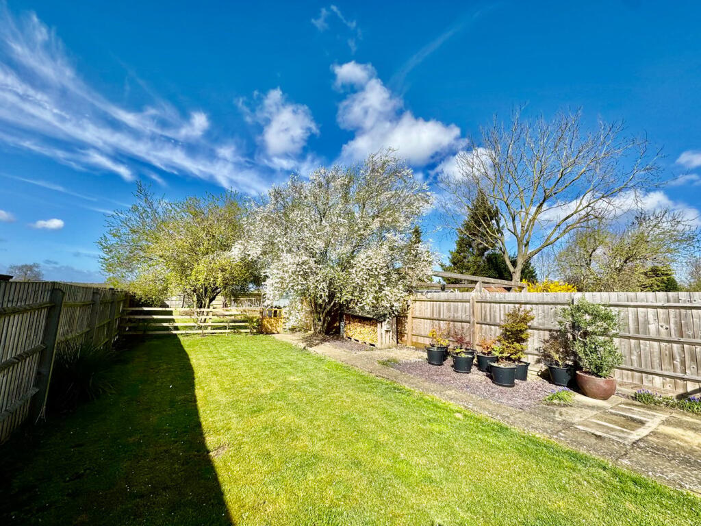 Lawn &amp; Cherry Plum Blossom Tree