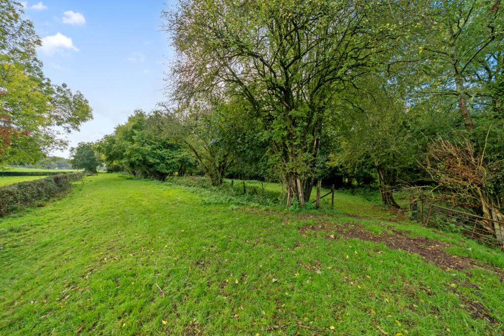 Seddons Tiverton