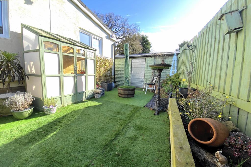 Sunny garden