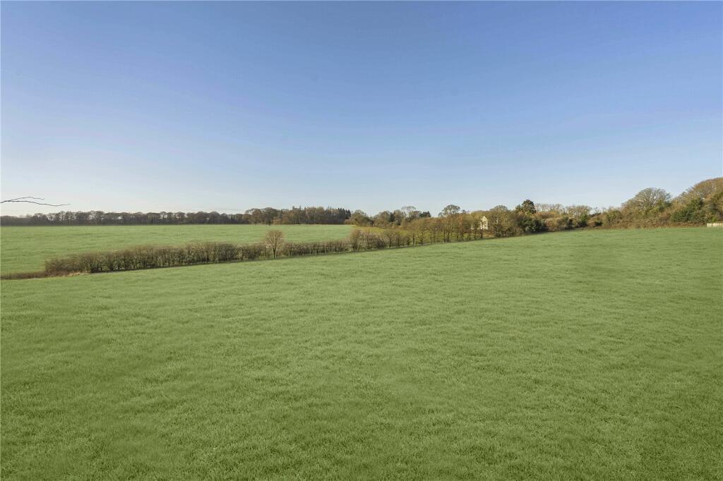Field