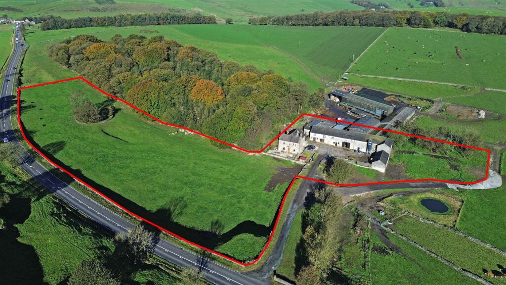 DJI_0488 - red line boundary JPG.jpg
