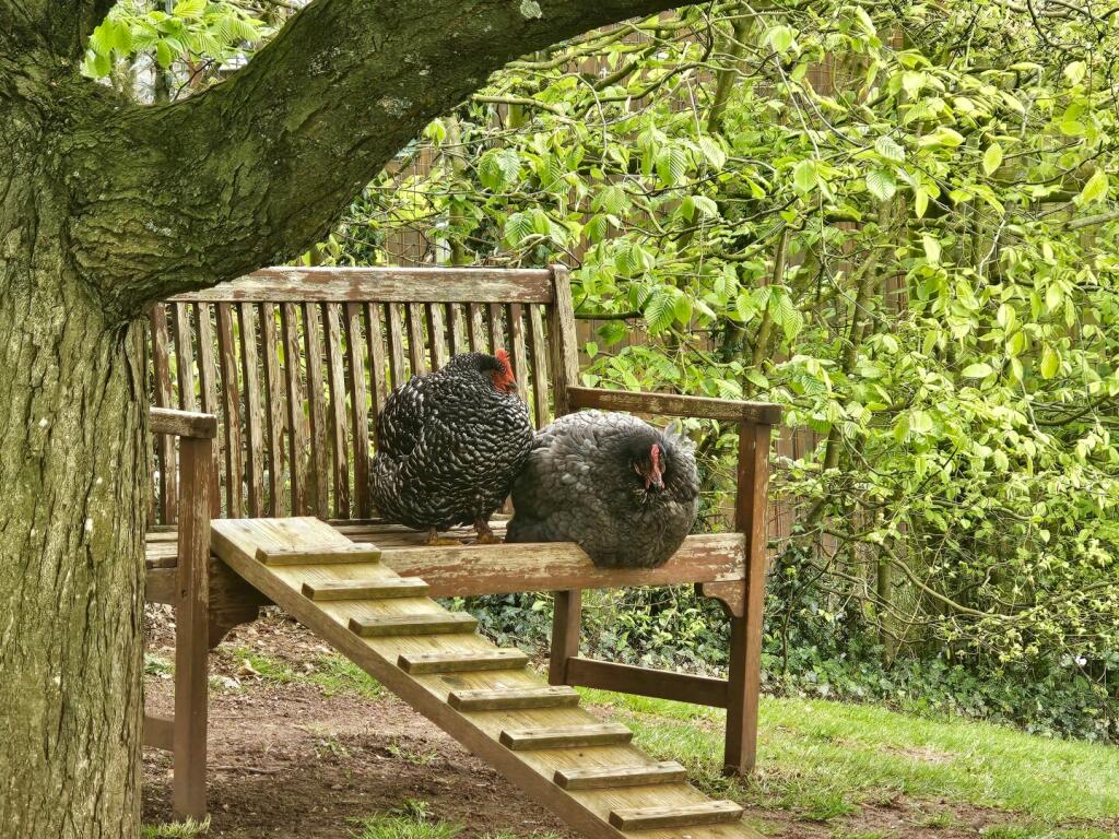 The Cider Press