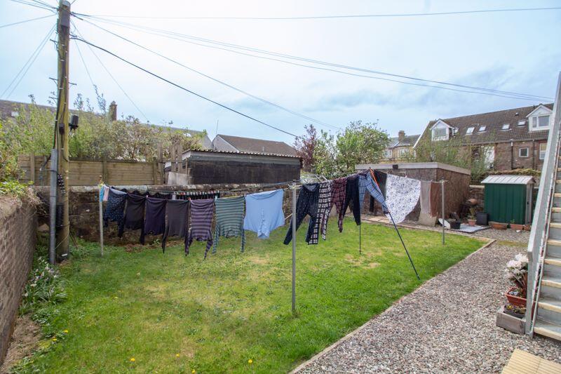 Back Garden