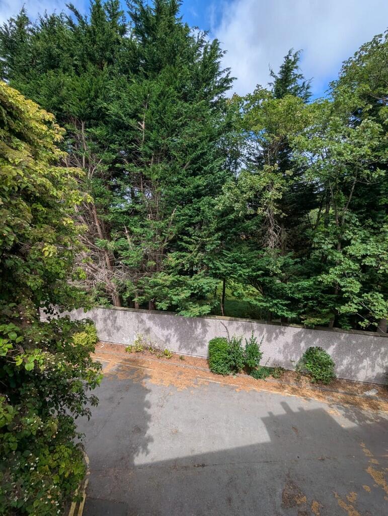 48443ae1-0a52-420...