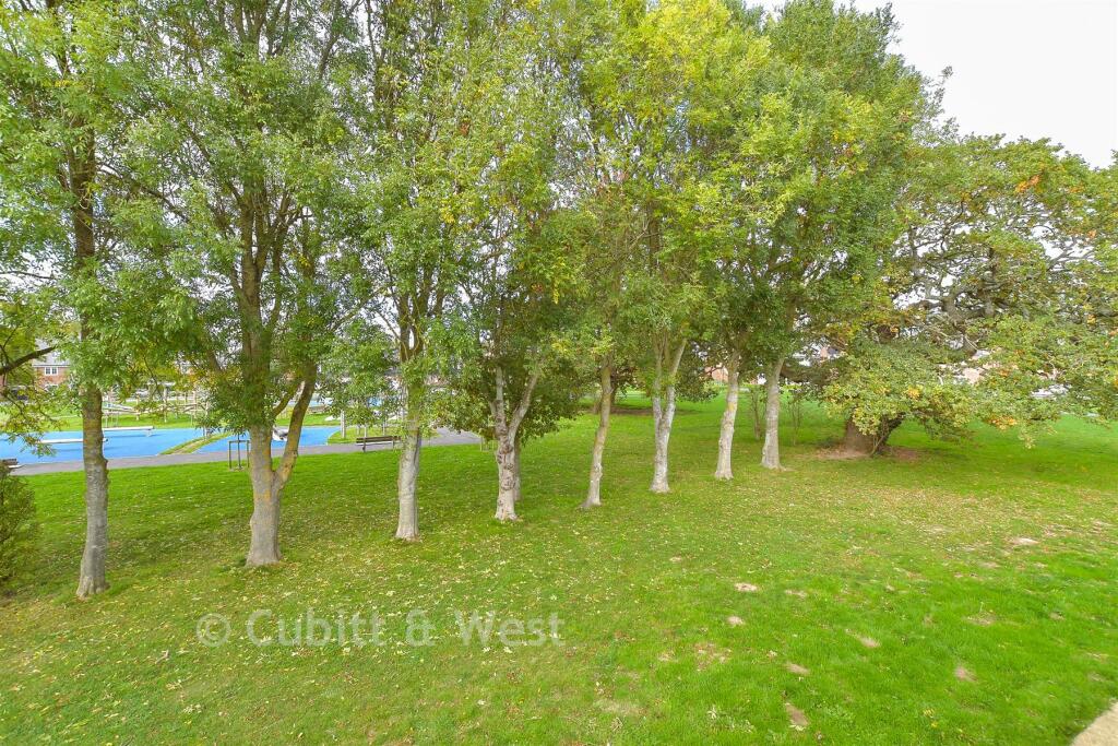 Surrounding Area