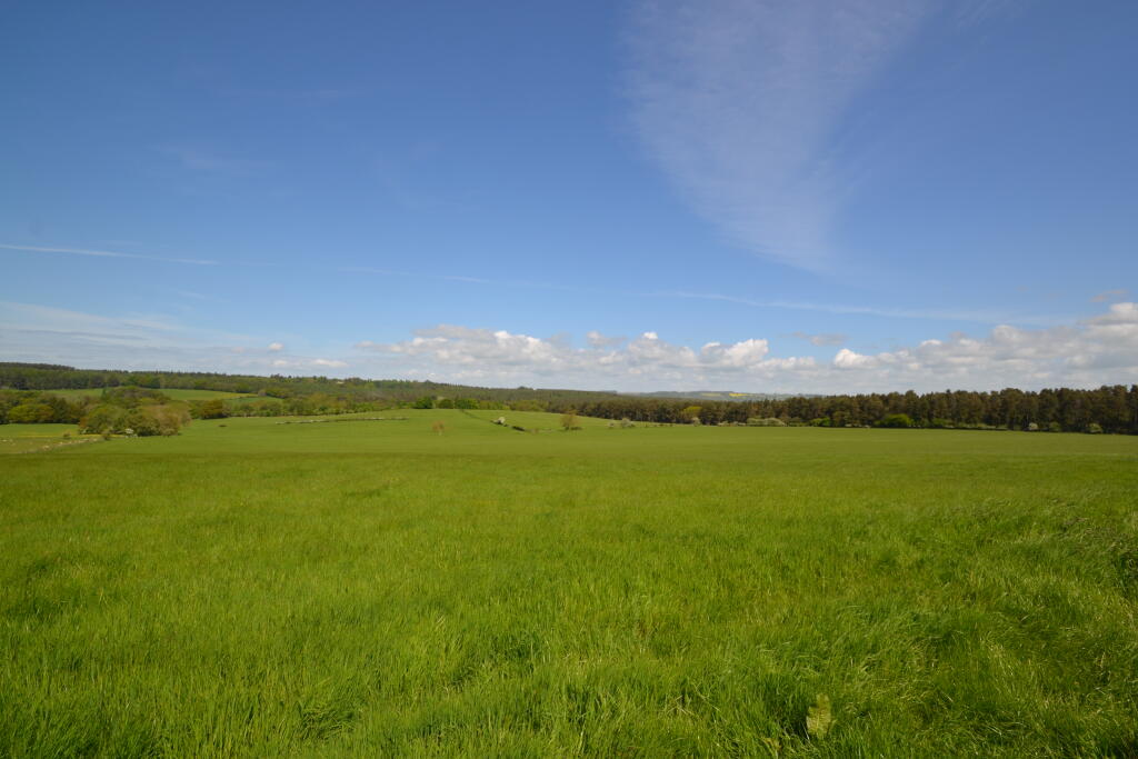 Photo 04