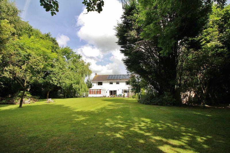 Rear Elevation &amp; Garden