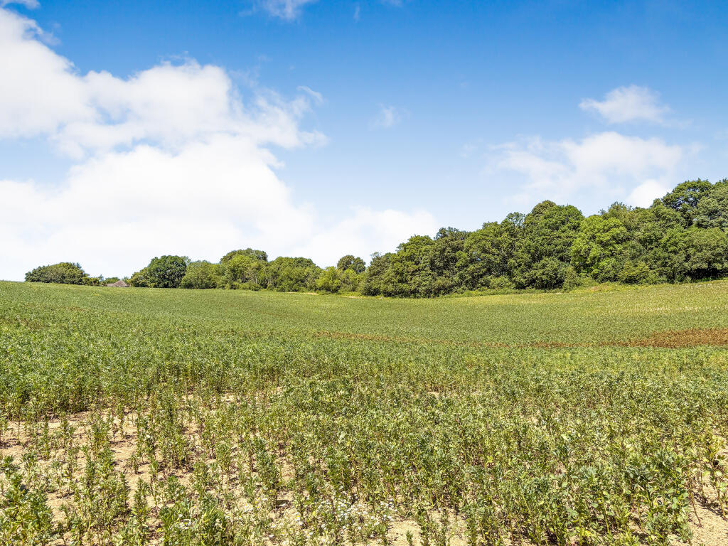 11-07-2025__15-33-49_IMG_0558.oQafC