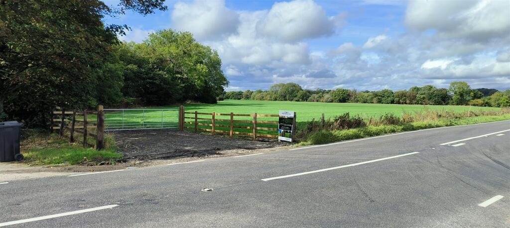 IMG20250918135150 (1).jpg