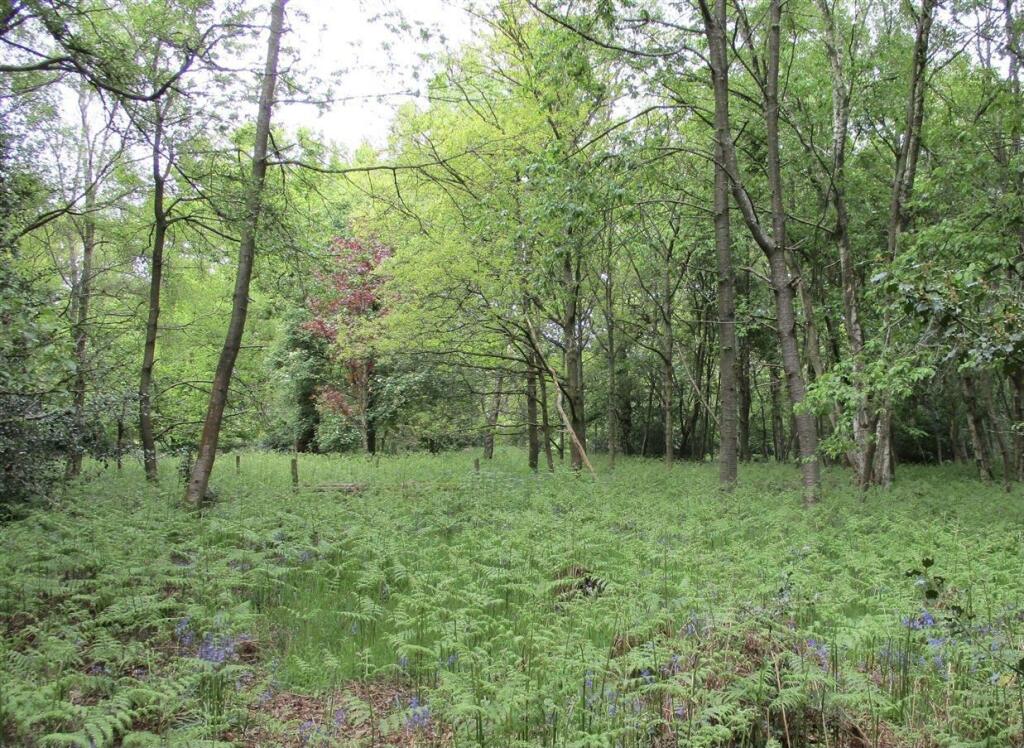 Woodland