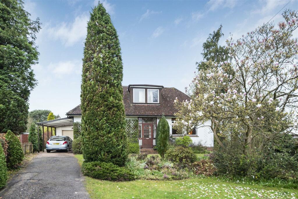 2024-03-26 16.41.57.JPG