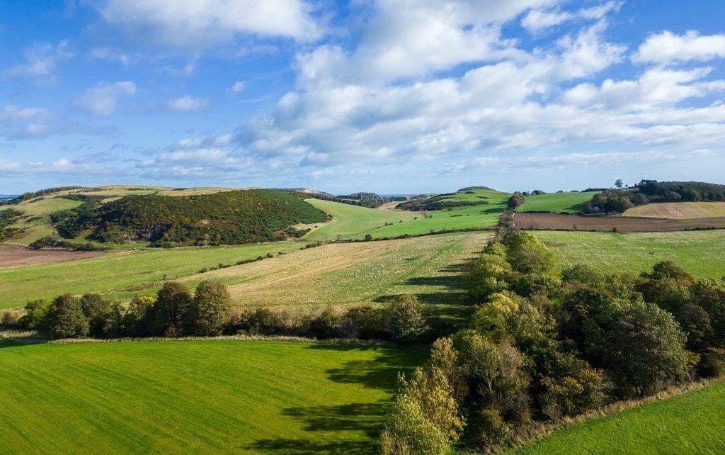 Farmland