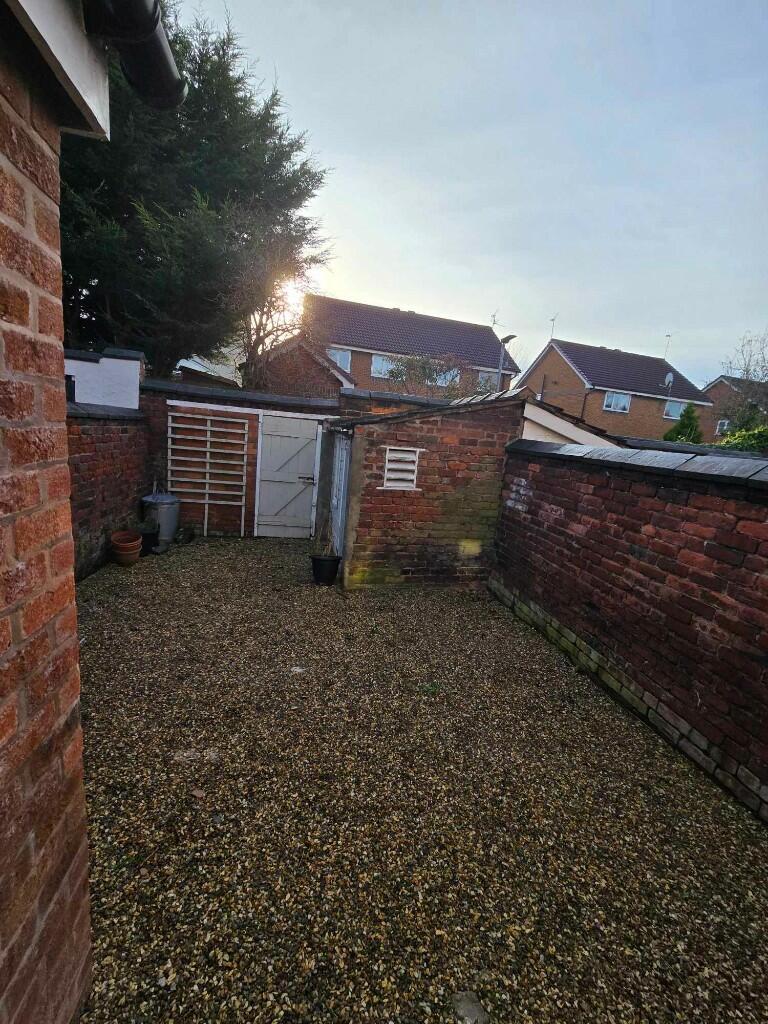 Back yard