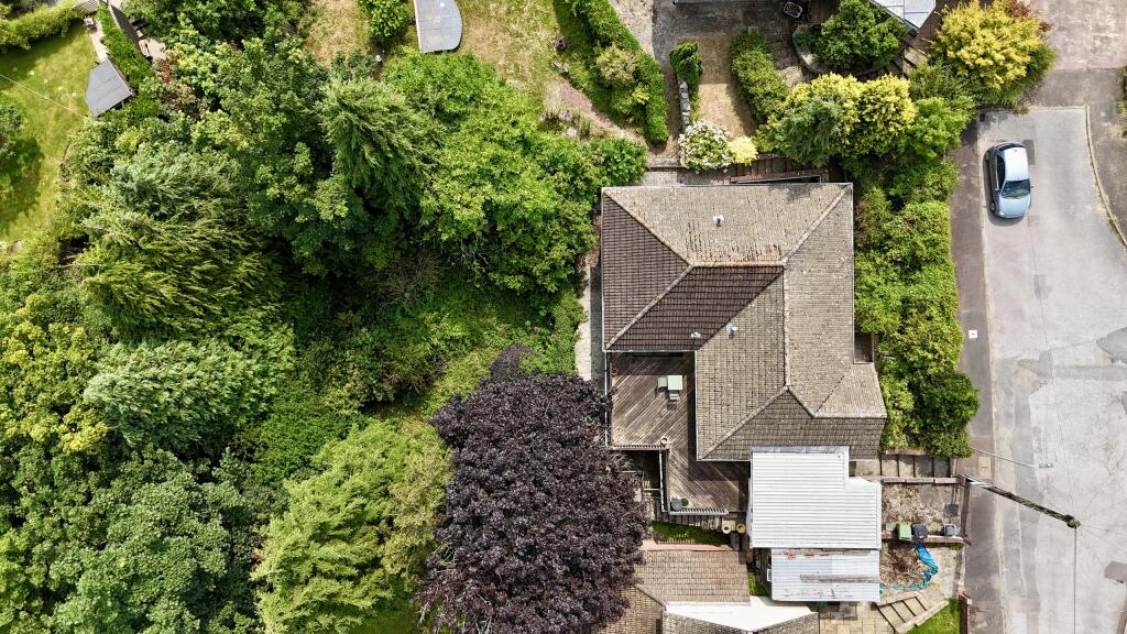 dji_fly_20240801_120444 PM_0001_1722514470081_phot