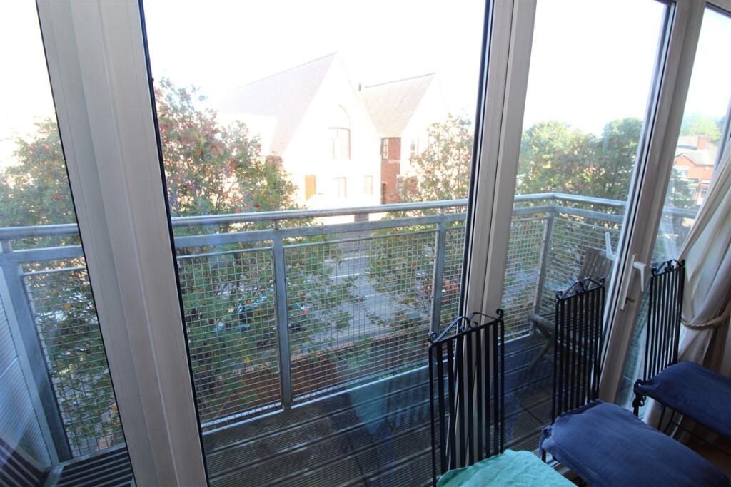 IMG 6700  Medium  T202509261154.jpg