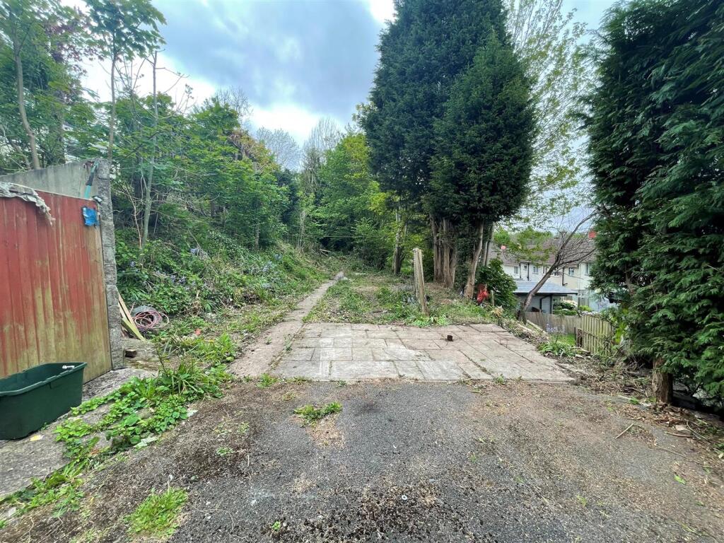 Image 7.jpg