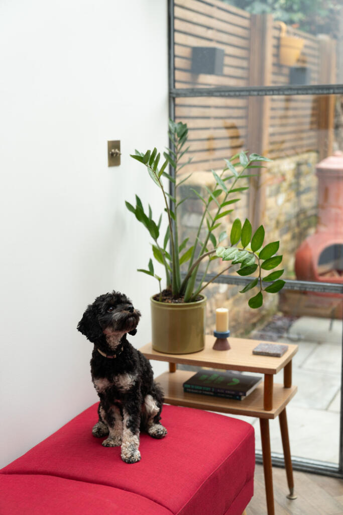 259429 - POWELL-ROAD-16.jpg