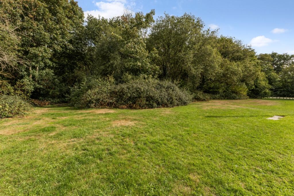 97851_2-Woodbine-...