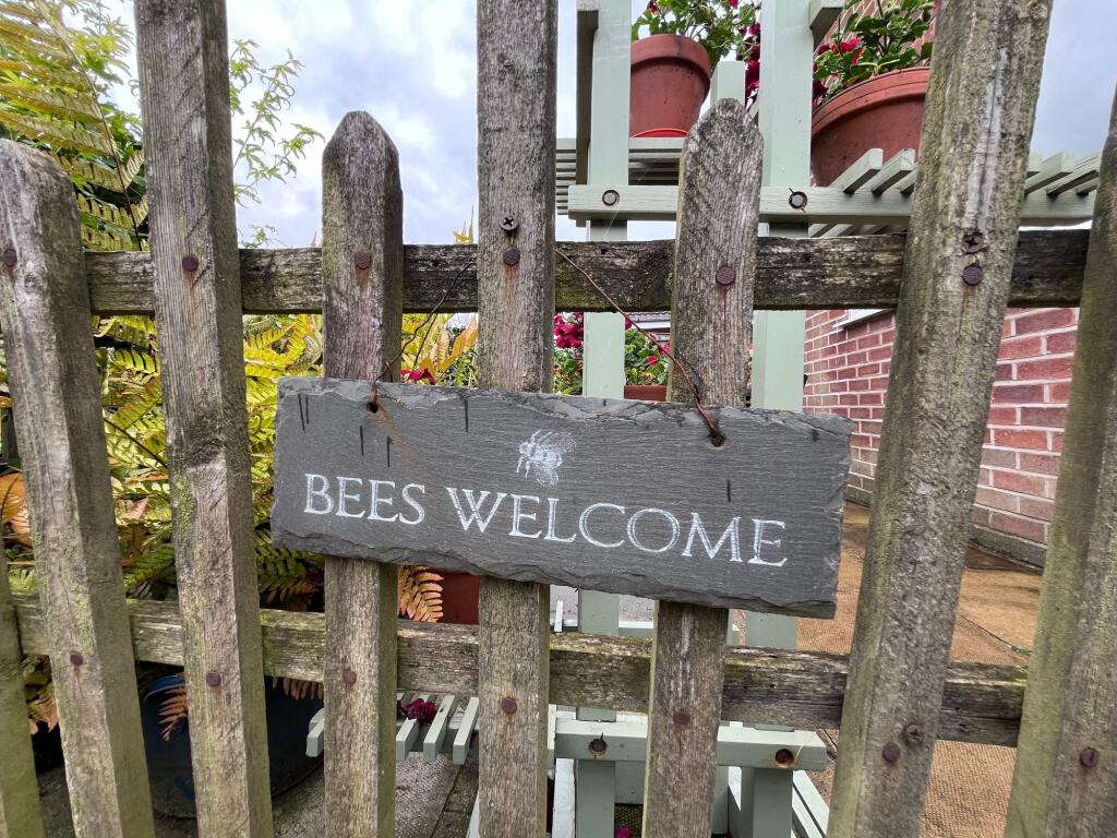 Bees Welcome