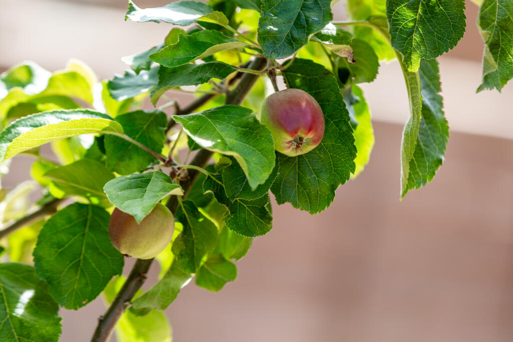 5F8A4868-Enhanced-NR