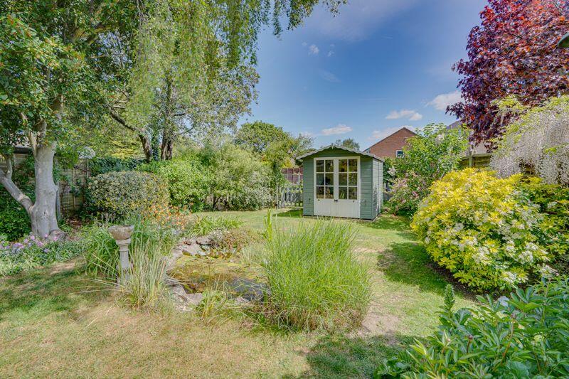 Rear garden pond