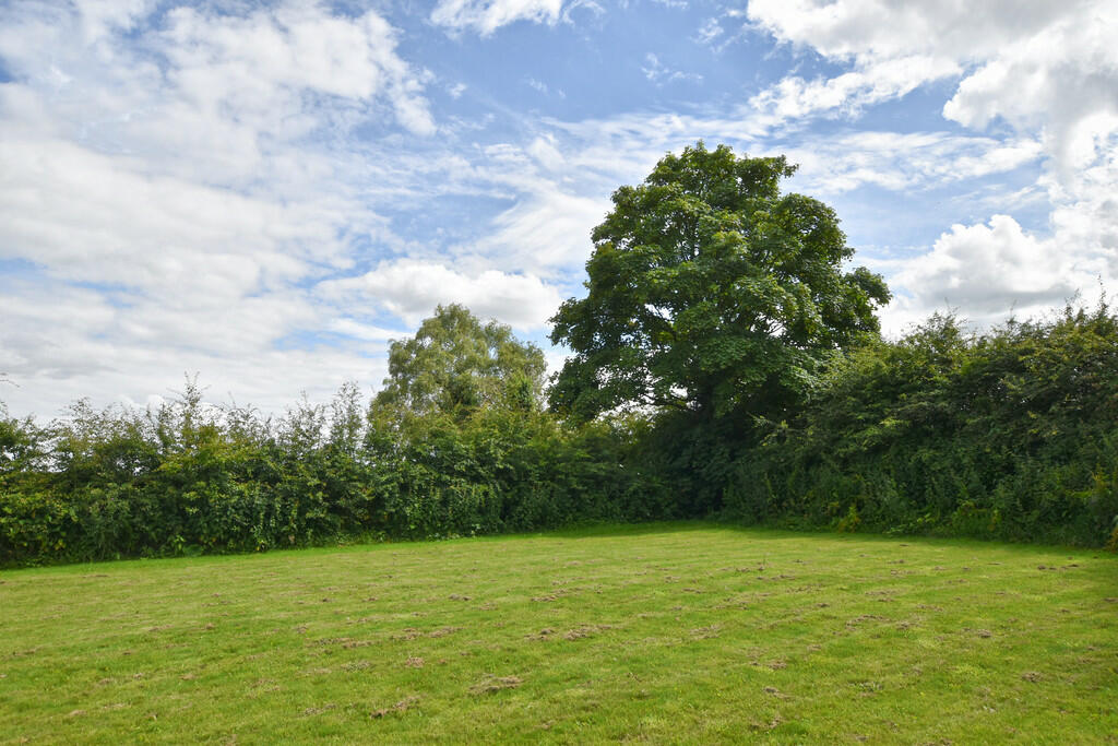 Paddock
