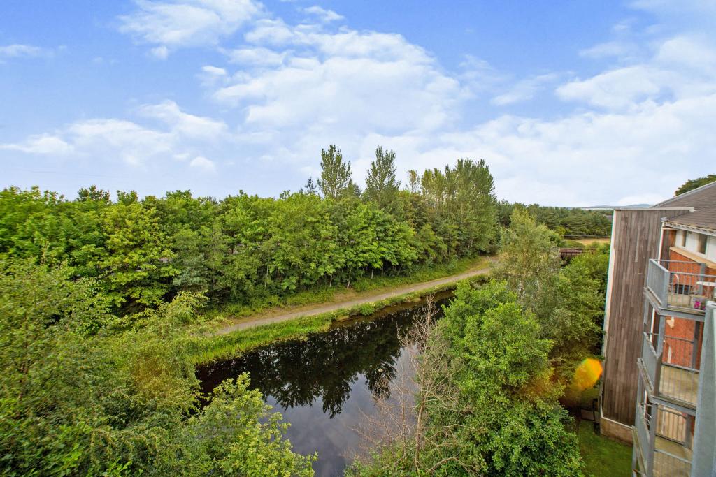 Rear View