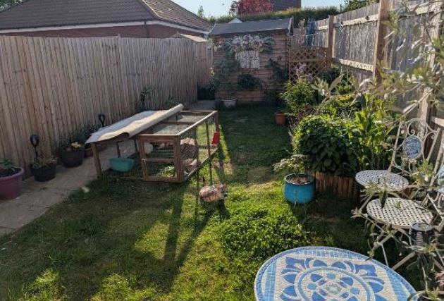 rear garden 115.JPG