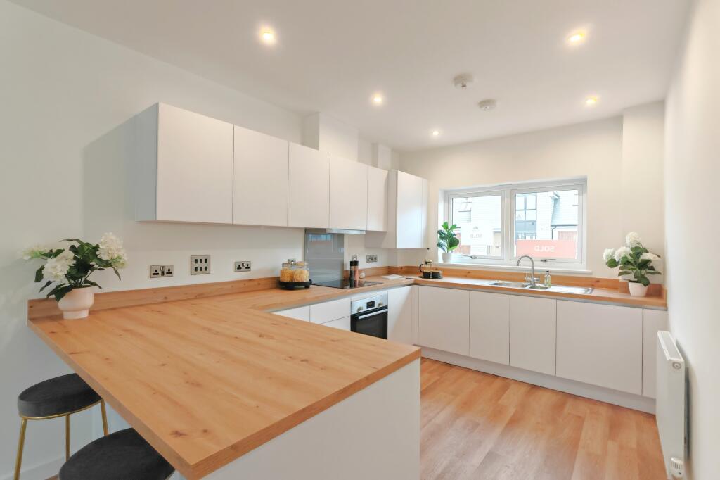 IMG_20241028_135725_edit_318998746858935