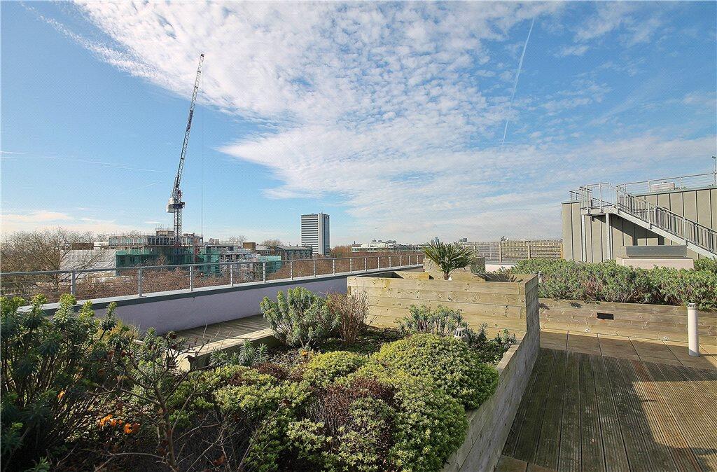 Roof Terrace