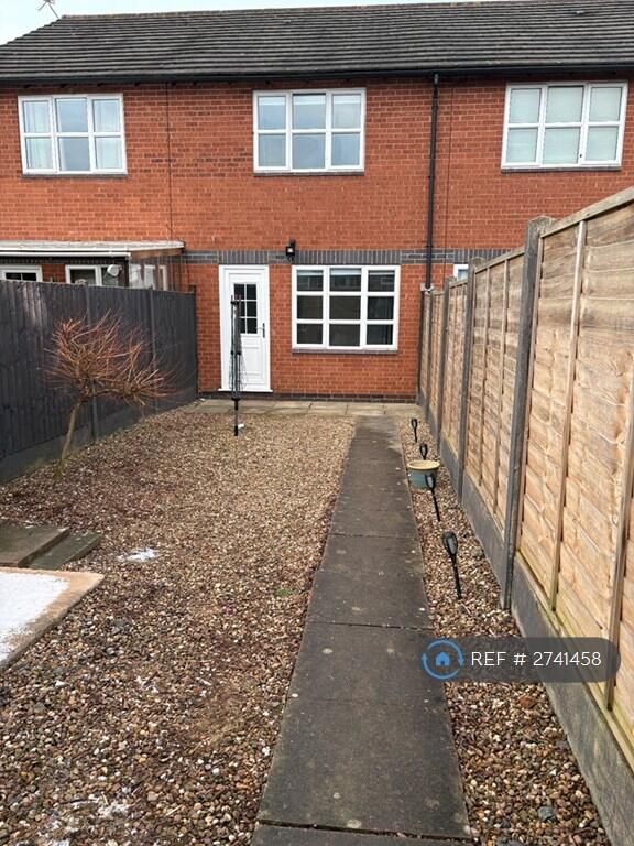Back Garden