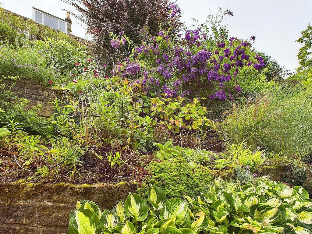 CAM04201G0-PR0009-STILL001