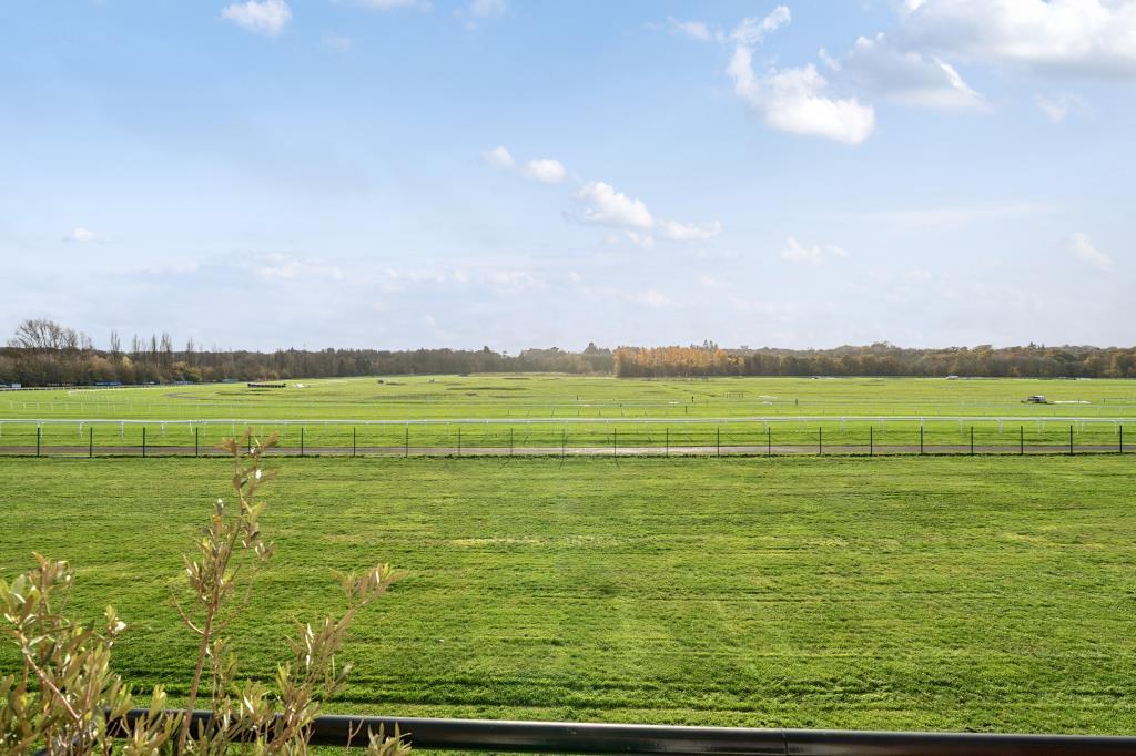 Track View