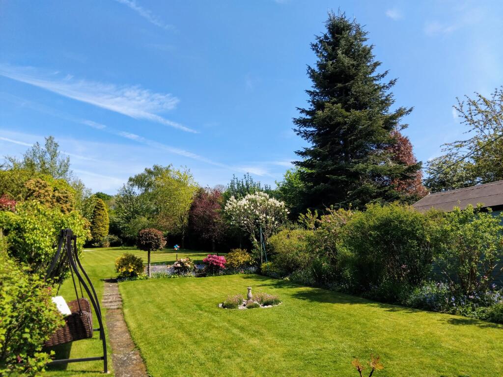 garden
