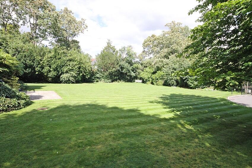 Grounds