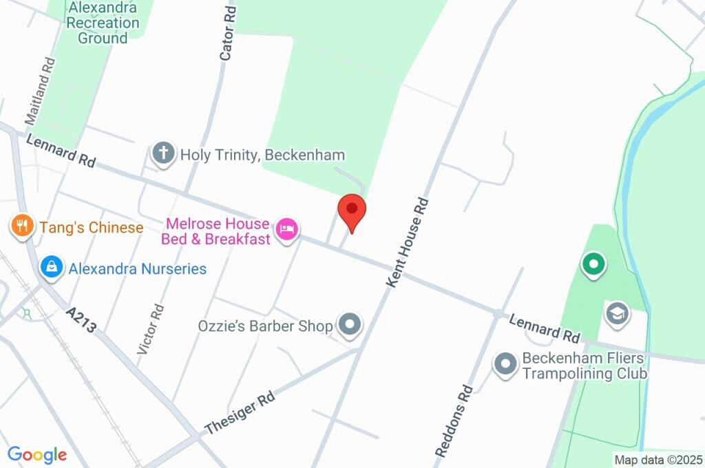 Google Maps Image