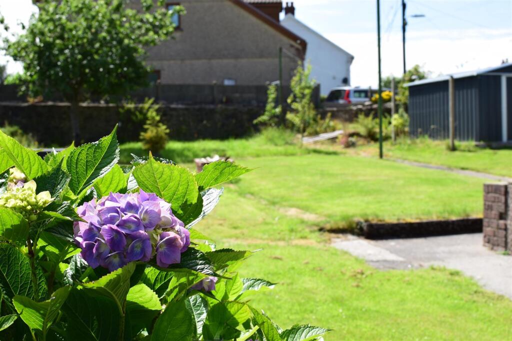 DSC_1100.JPG