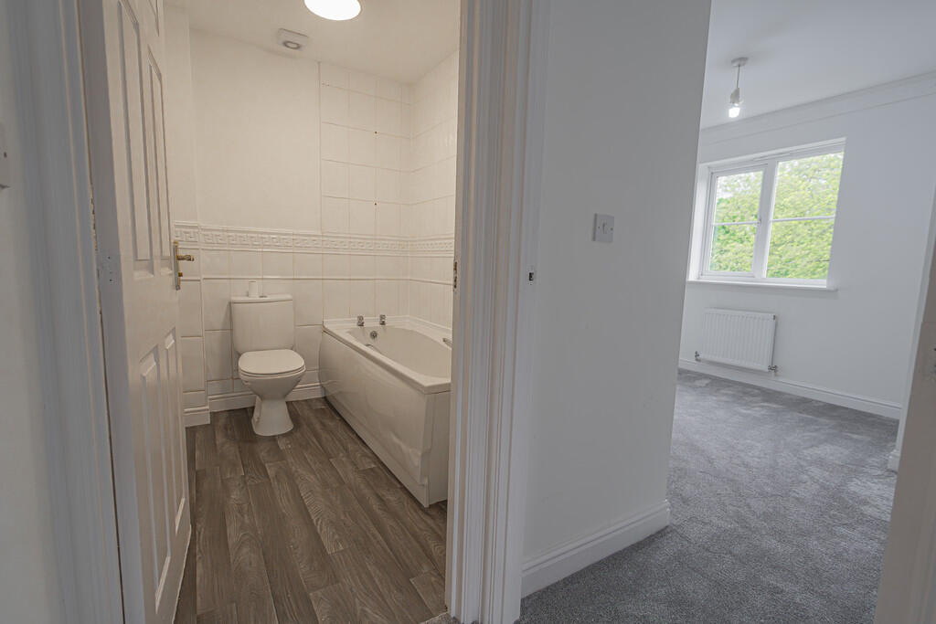 20250423-DSC03974...