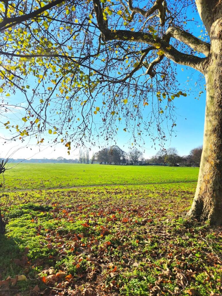 Green Street, Enfield
