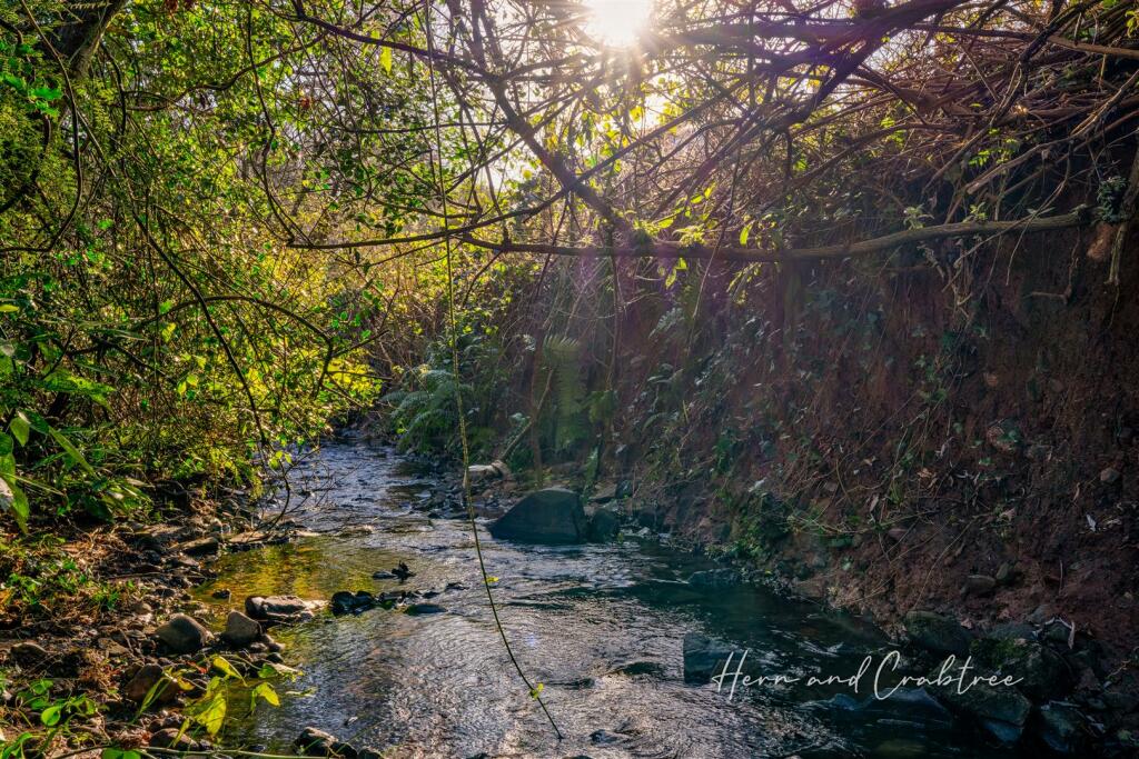 Kennington Close, Thornhill, HernCrabtree (25).jpg
