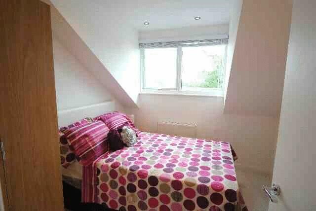 Photo7