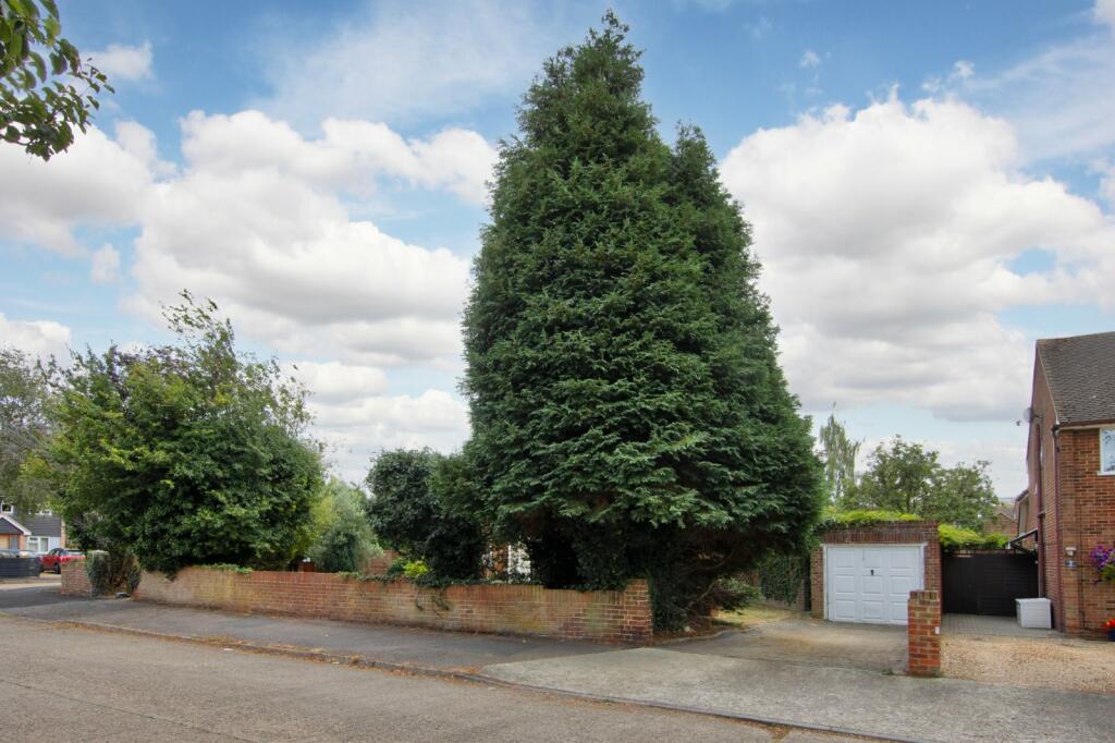 Driveway &amp; Garage