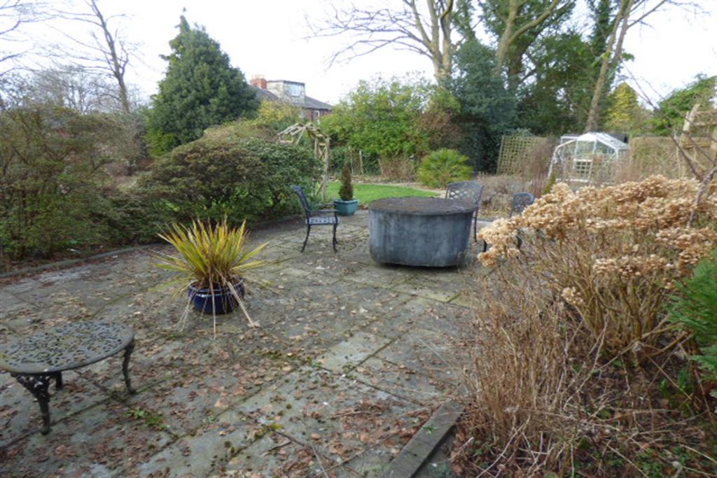 Patio Area