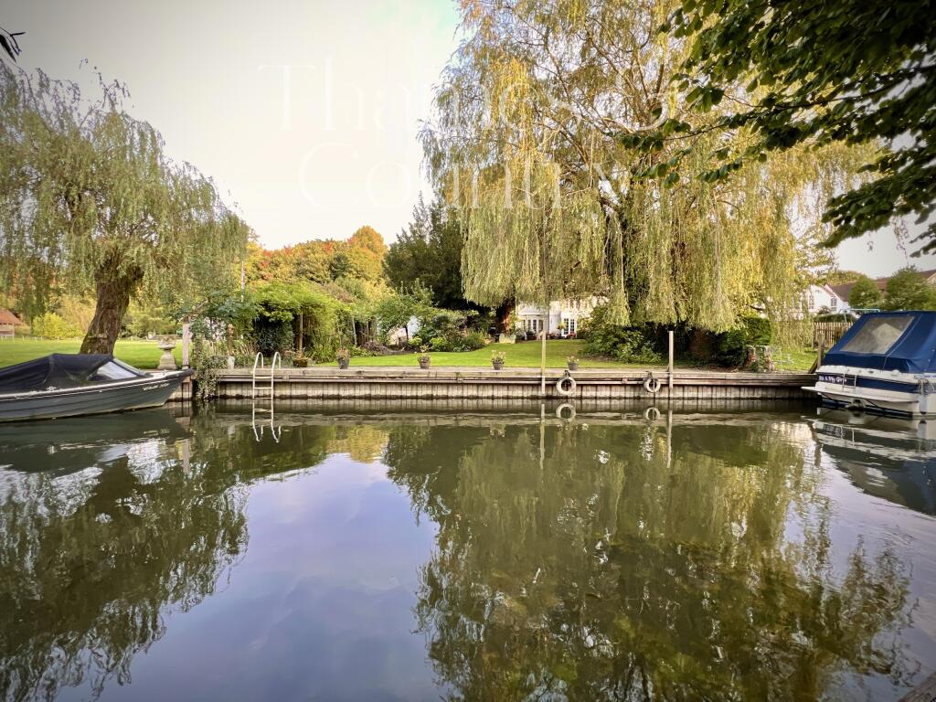 View FromThe River