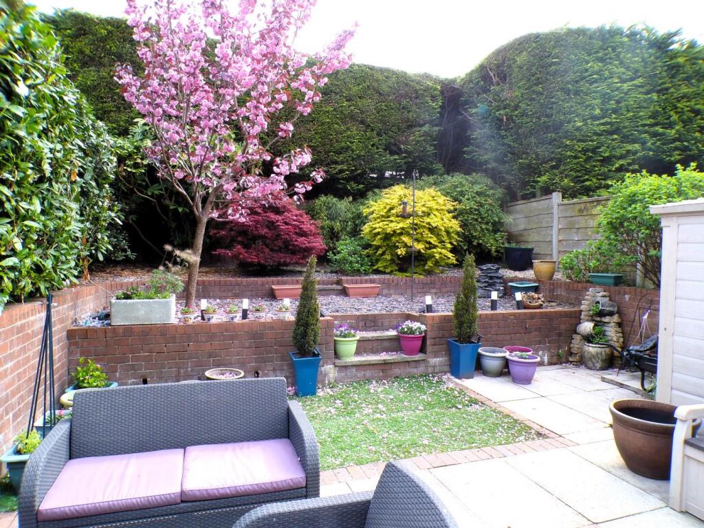 FoxdentonLn207gdn2.JPG