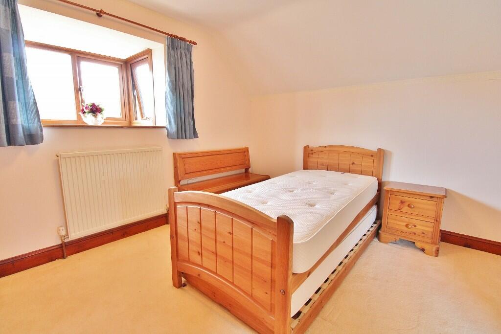 IMG_5482 (1024x68...